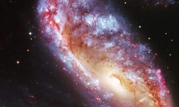 NGC 2442: ένας διαταραγμένος γαλαξίας