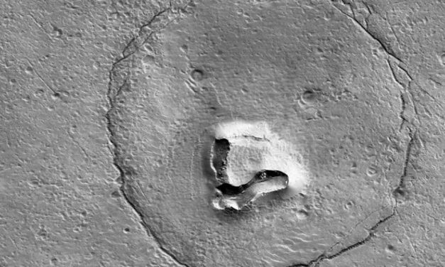 Μία «αρκούδα» στον Άρη