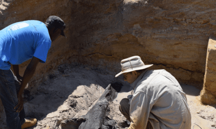 Αρχαιολόγοι ανακάλυψαν δομή μισού εκατομμυρίου ετών που αλλάζει τις αντιλήψεις τους