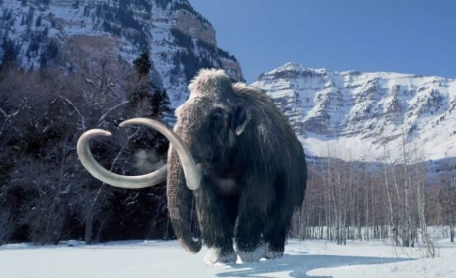 Στην τελική ευθεία για την ανάσταση των μαμούθ