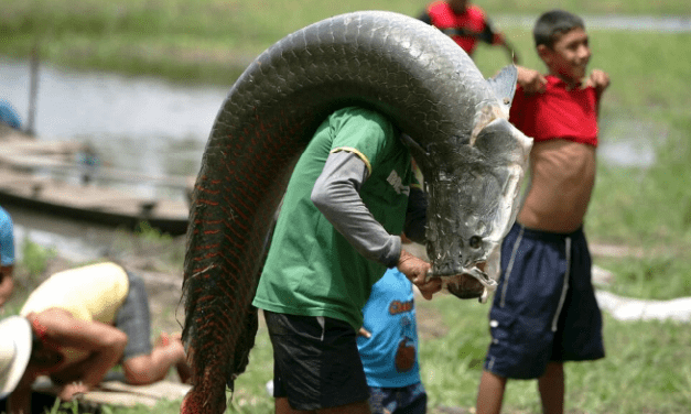 Ψάρι – τέρας του Λοχ Νες