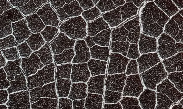 Το Κινέζικο Rover στον Άρη εντόπισε μυστήριους πολυγωνικούς σχηματισμούς στο υπέδαφος