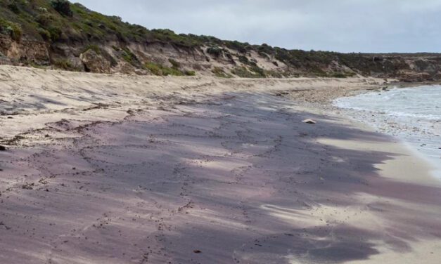 Αρχαία βουνά της Ανταρκτικής αποκαλύφθηκαν στην Αυστραλία