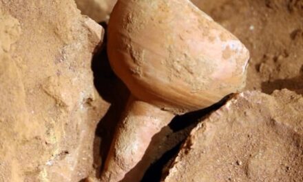 Επιστήμονες Λύνουν το Μυστήριο του ‘Άγιου Δισκοπότηρου’ στην Πέτρα: Ομοιότητες με την Ταινία Indiana Jones