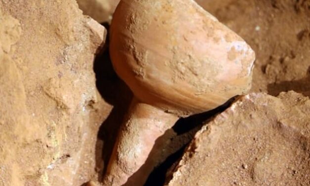 Επιστήμονες Λύνουν το Μυστήριο του ‘Άγιου Δισκοπότηρου’ στην Πέτρα: Ομοιότητες με την Ταινία Indiana Jones