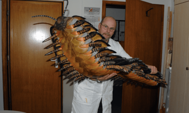 Ένα γιγάντιο μυριάποδο μεγέθους αυτοκινήτου λύνει ένα εξελικτικό μυστήριο